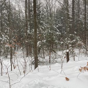 Meet your Posher, Dalen